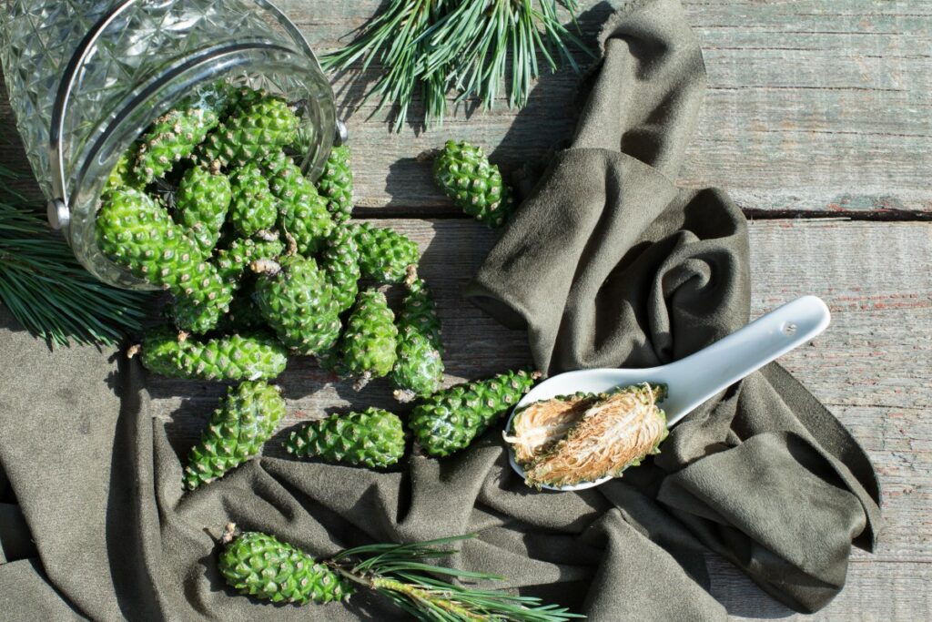 Варенье из шишек: приготовление, кому и как употреблять