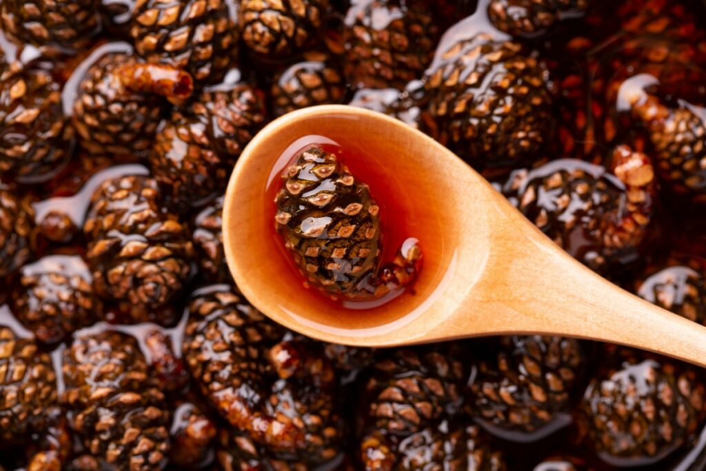 Варенье из шишек: приготовление, кому и как употреблять