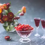 Домашнє вино зі смородини: покрокова інструкція приготування