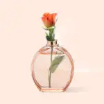 Ольфакторика: что это такое и почему для нас так важны ароматы