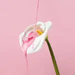 Что такое жидкий вибратор, как он работает и чем отличается от обычного