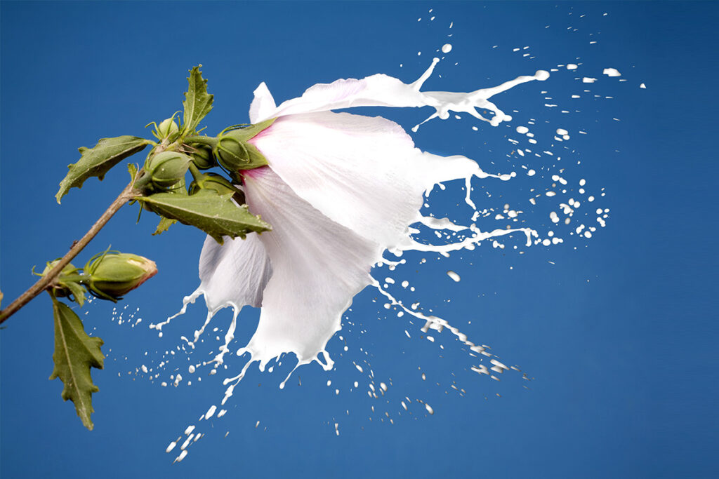 Що таке рідкий вібратор