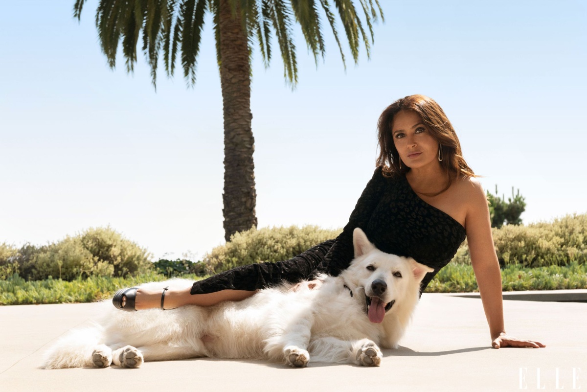 Анджелина Джоли, Сальма Хайек, Лорен Ридлофф и Джемма Чан о дружбе, женственности и съемках фильма «Вечные»