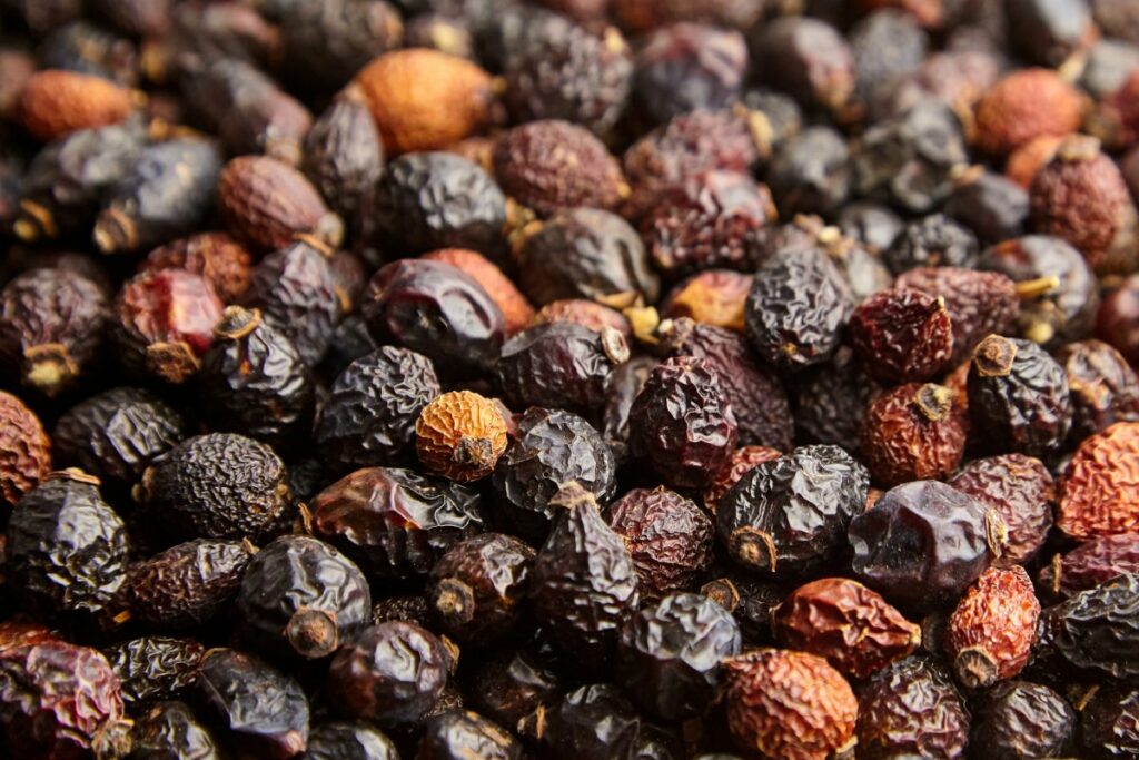 В чем польза шиповника для организма и как его применять