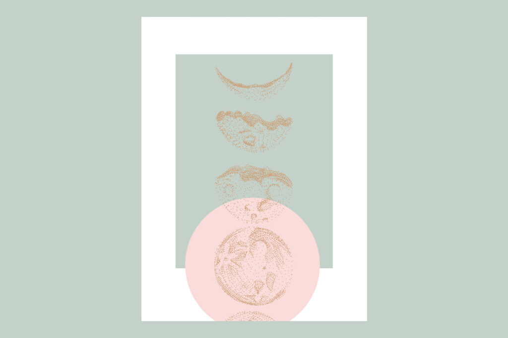 Новий сезон: місячний календар стрижок на грудень 2021