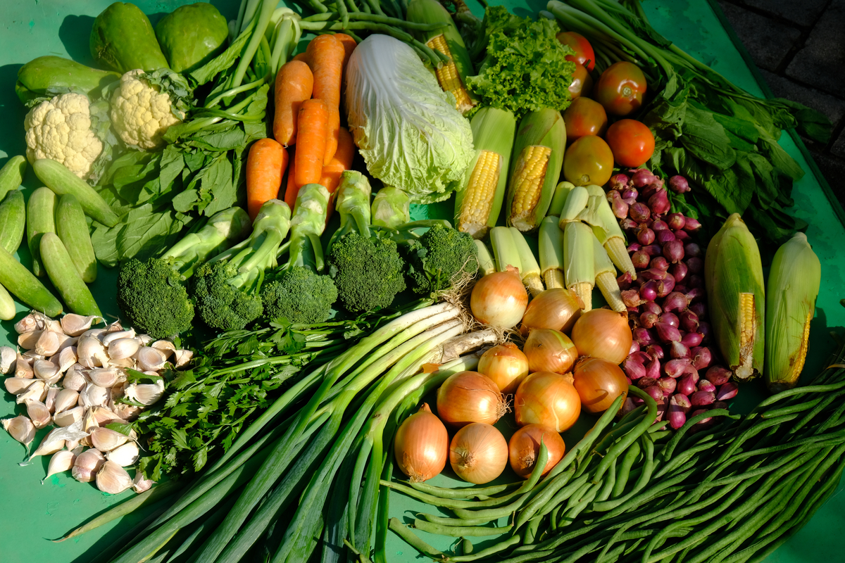 9 главных wellness-трендов 2022 года