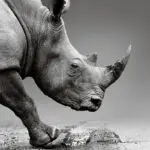 Гіперкератоз