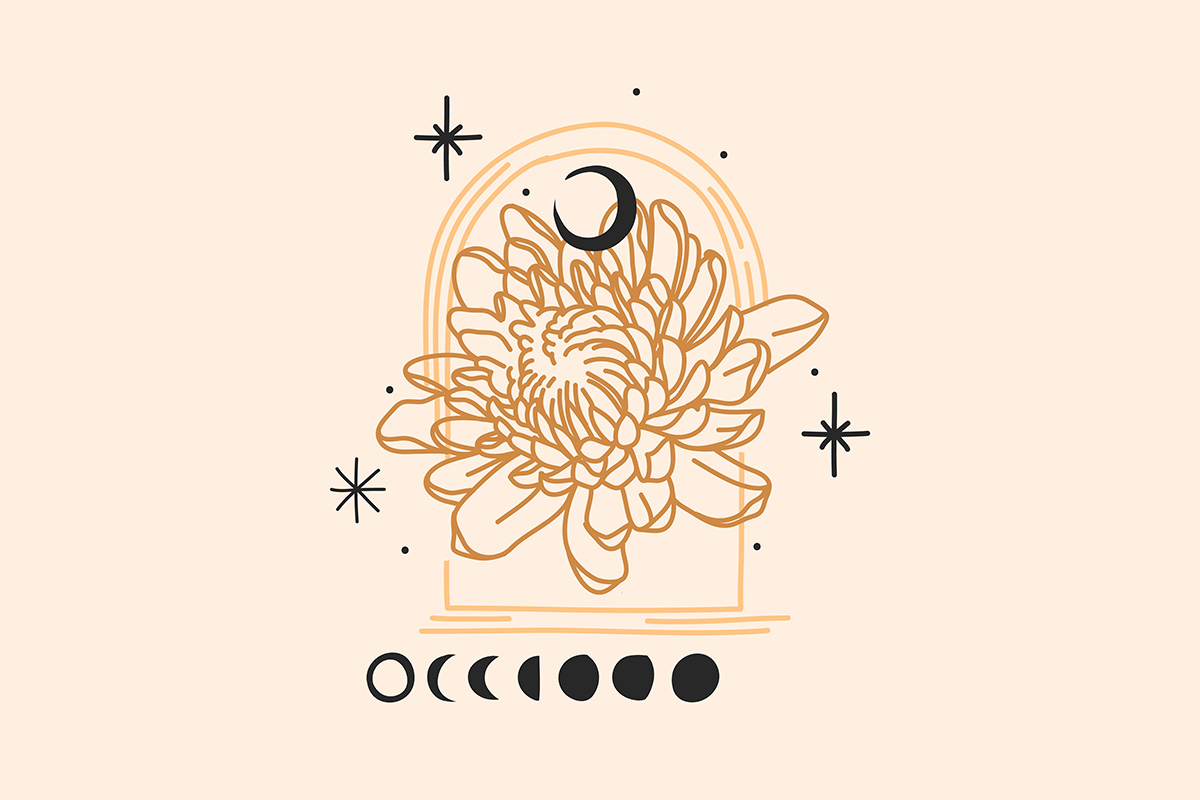 Новый сезон: лунный календарь стрижек на февраль 2022