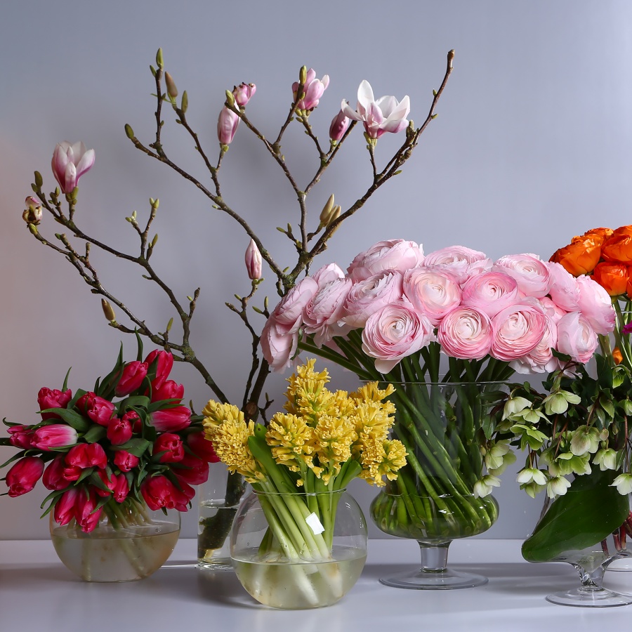 Какие цветы покупать весной: от первоцветов до веточек