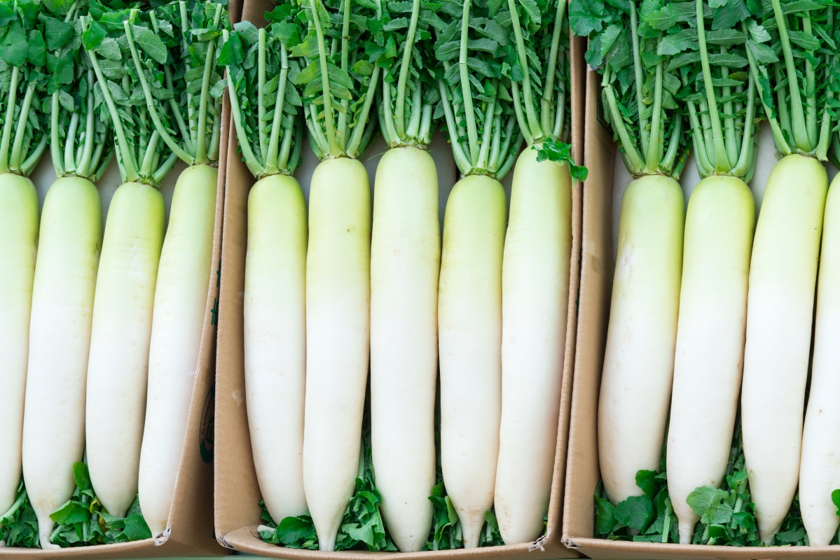 Дайкон: 10 причин, почему стоит попробовать японскую редьку
