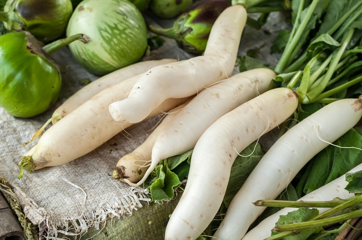 Дайкон: 10 причин, почему стоит попробовать японскую редьку