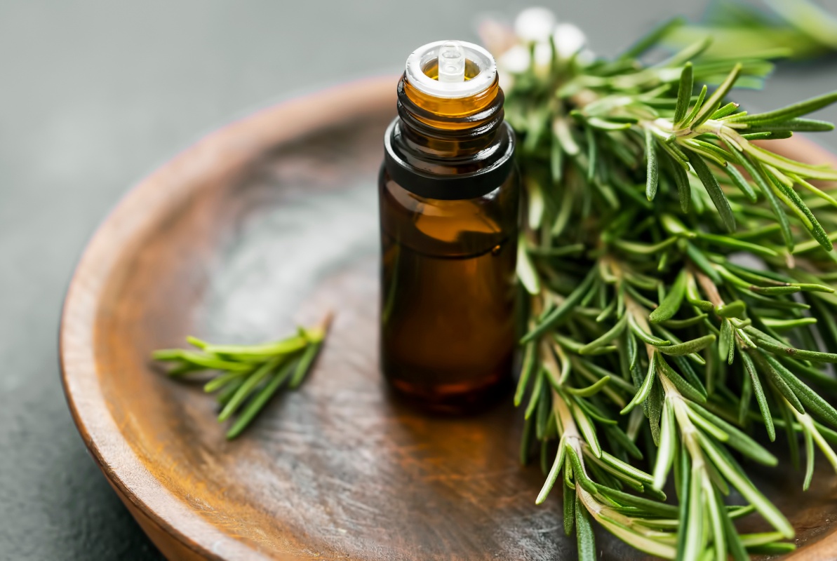 Розмариновая кислота: что это такое и зачем нужна