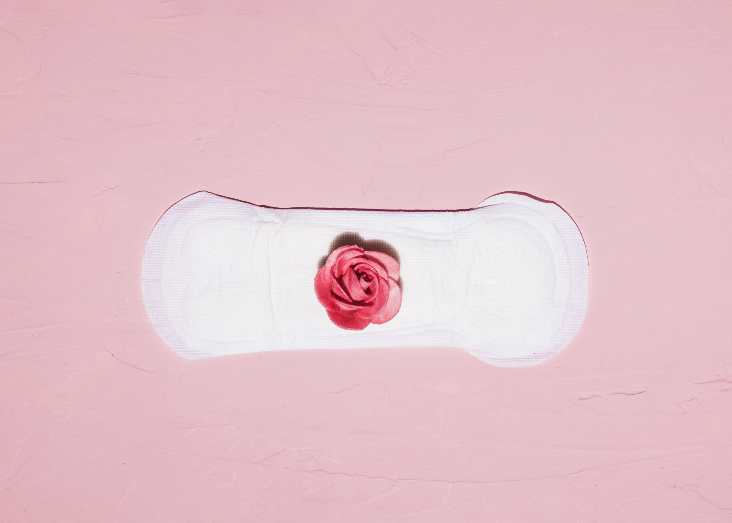 менструальний цикл