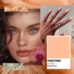 Колір Pantone 2024 beauty