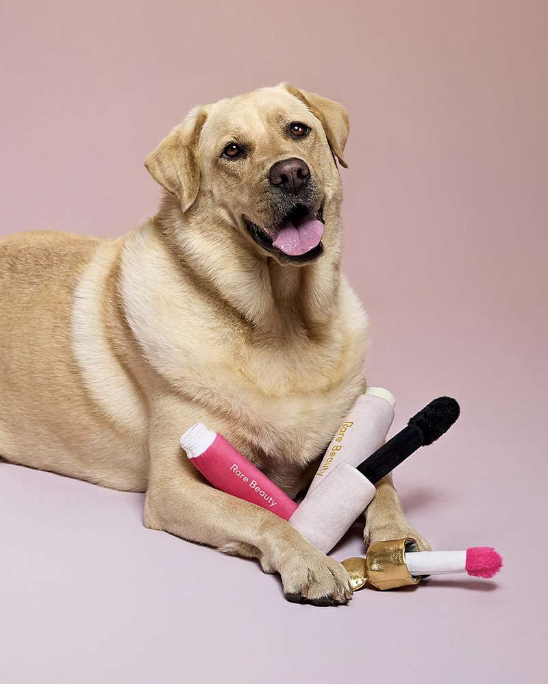 Rare Beauty pets toys
