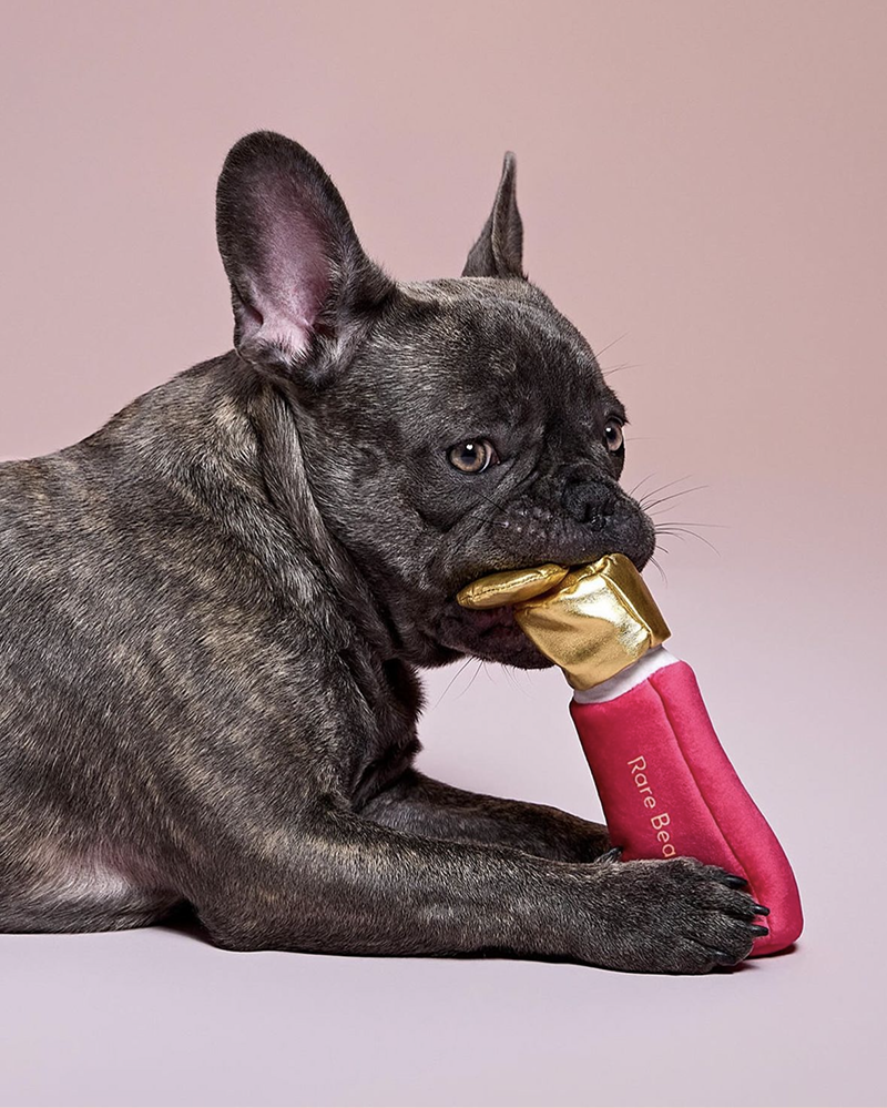 Rare Beauty pet toy