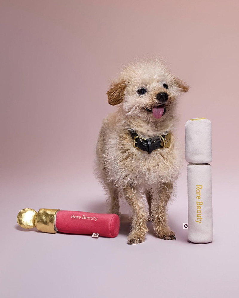 Rare Beauty dog toys