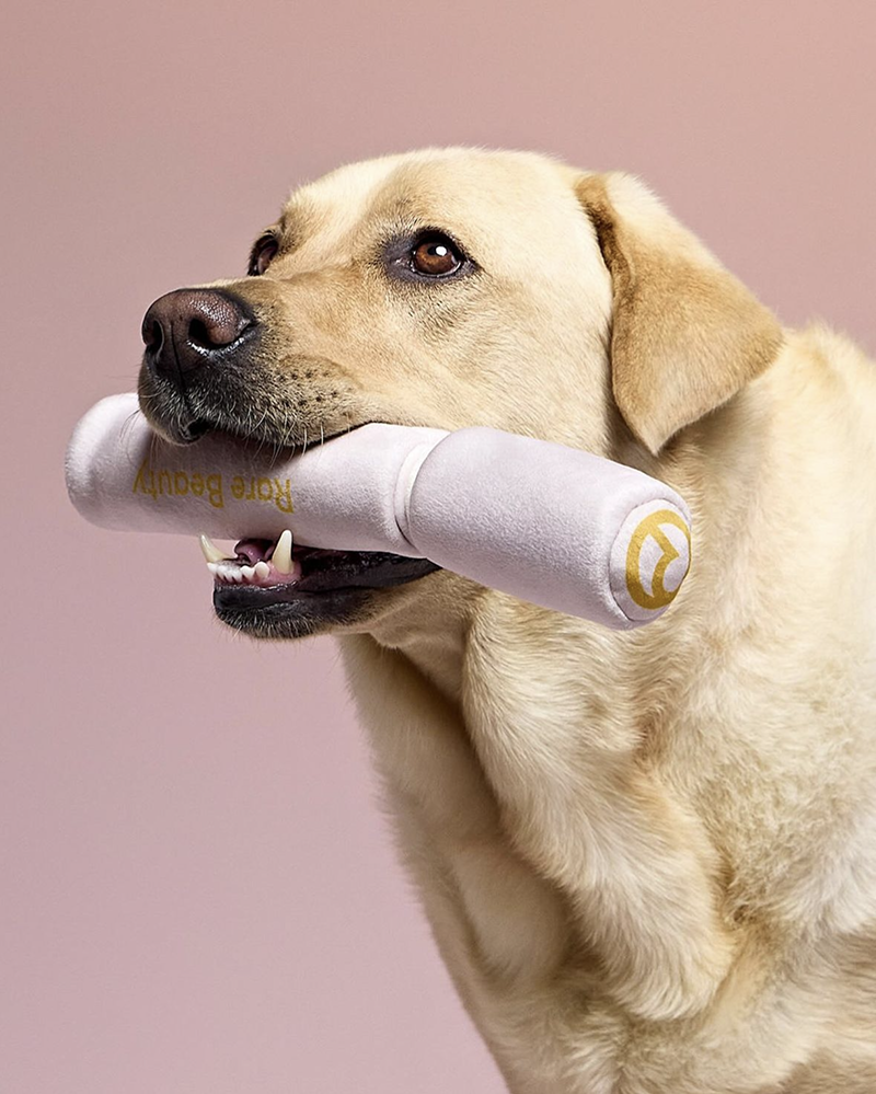 Rare Beauty dog toy
