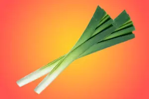 Лук-порей: как правильно готовить, полезные и вкусные рецепты