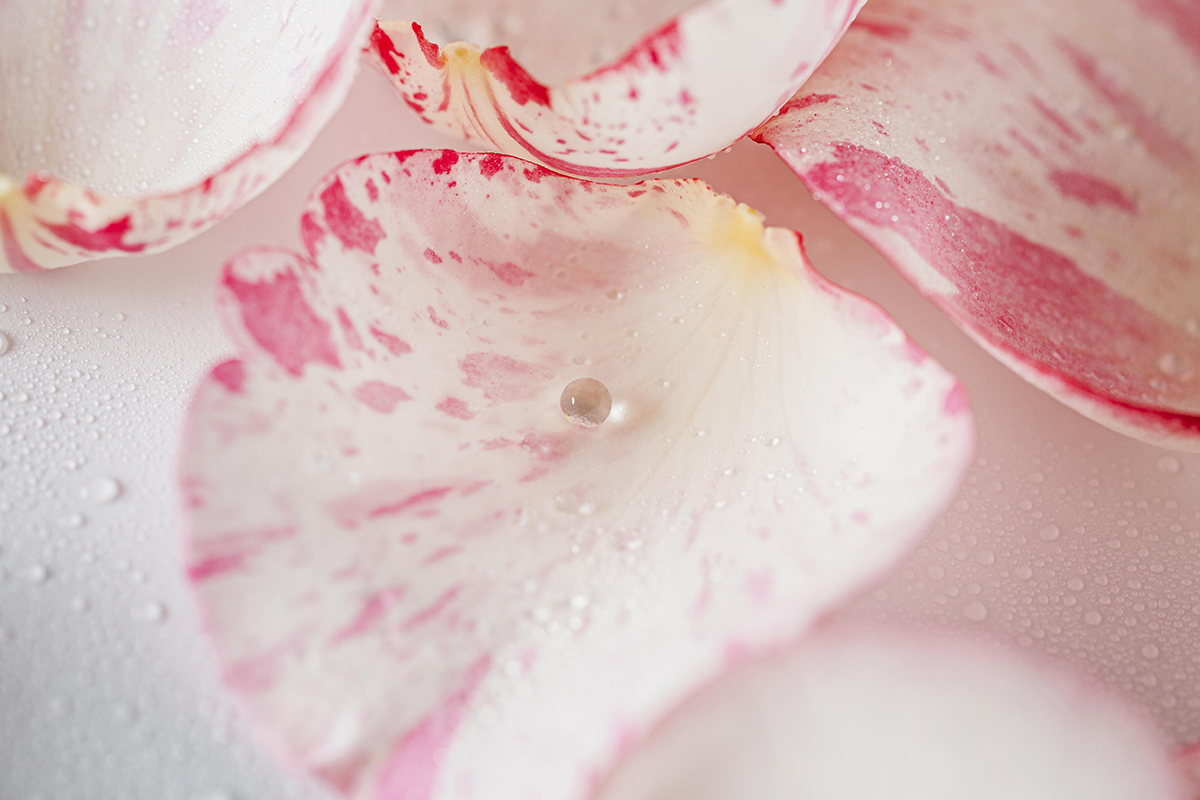 трояндова вода