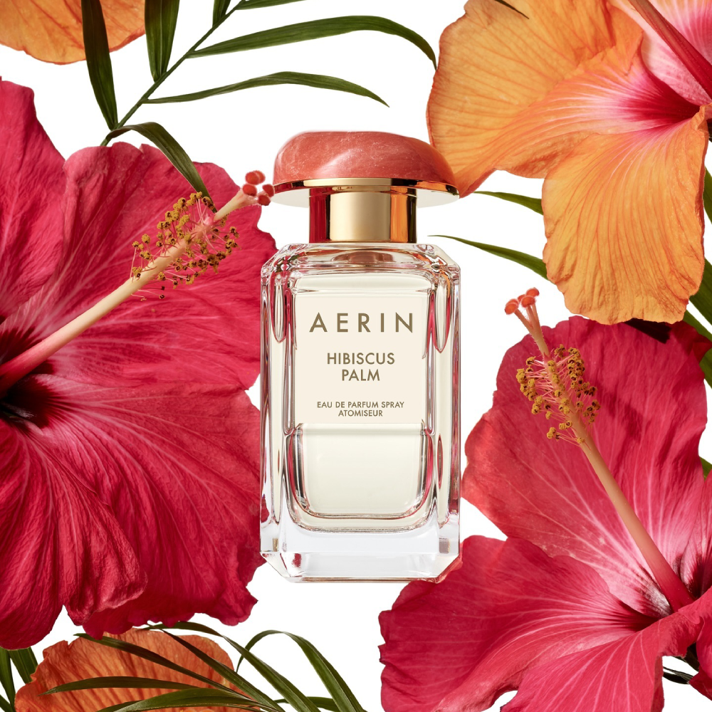AERIN Hibiscus Palm notes
